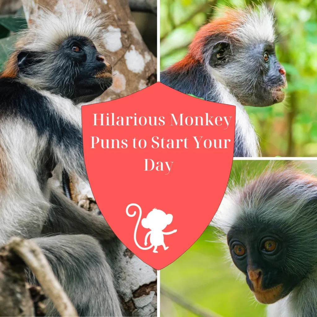  Hilarious Monkey Puns to Start Your Day 