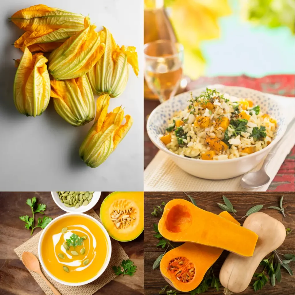   Seasonal Squash Puns for Every Occasion 