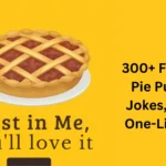 Funny Pie Puns