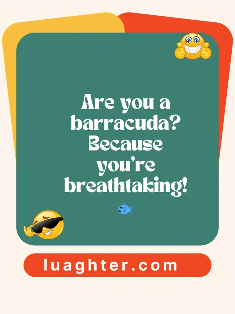 Are you a barracuda 