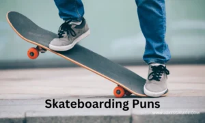 Skateboard Puns